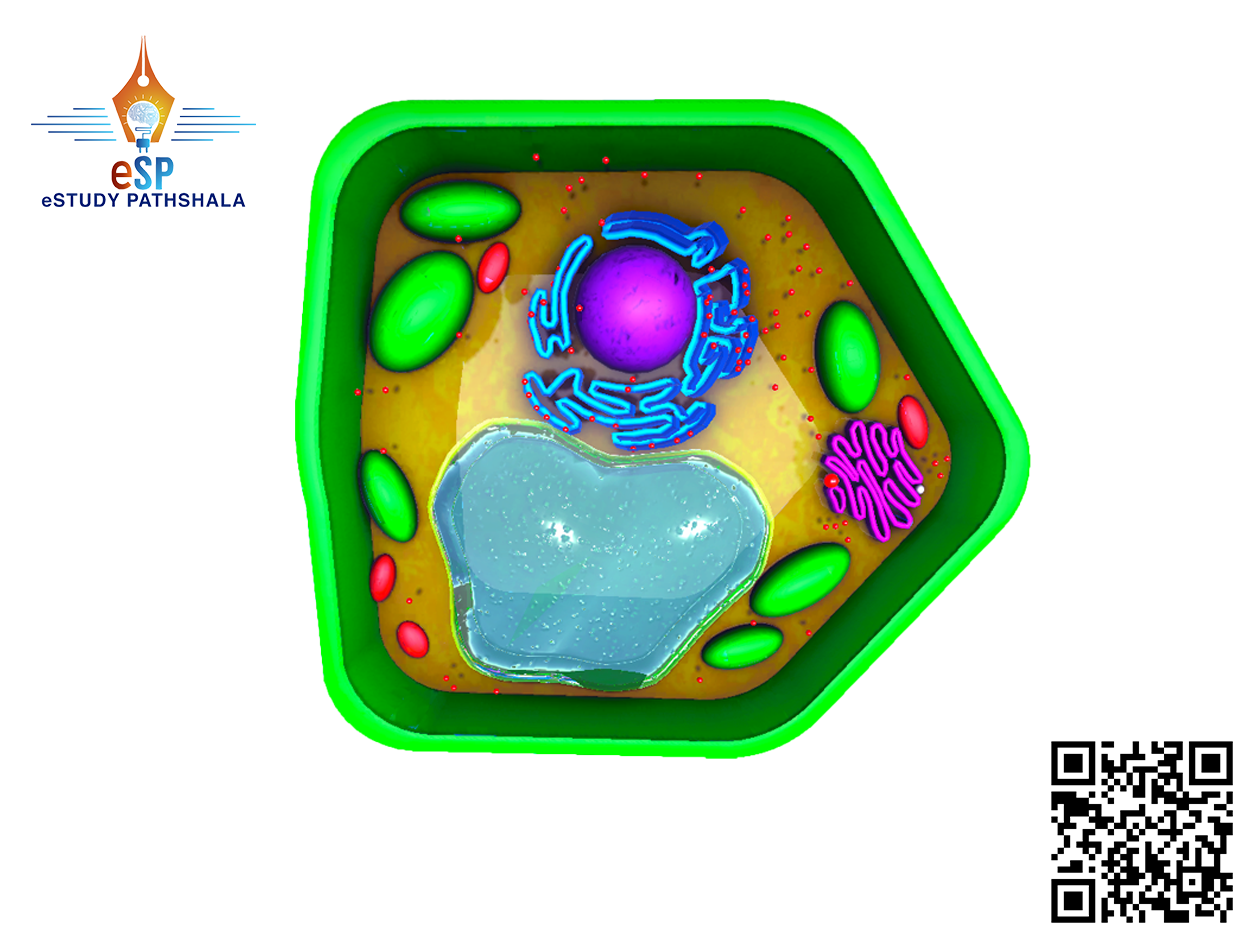  estudypathshala image loading error